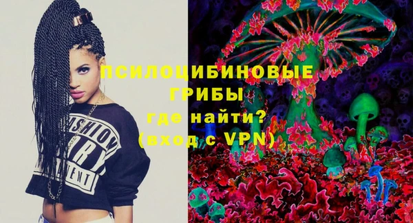метадон Белокуриха