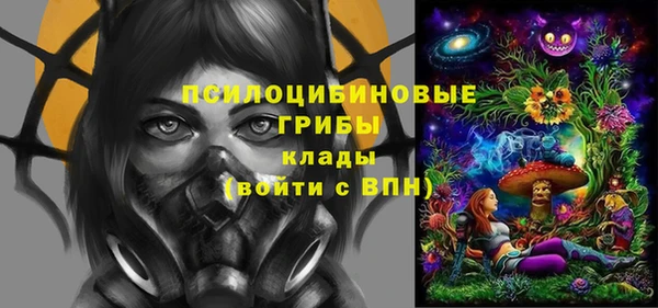 spice Бронницы