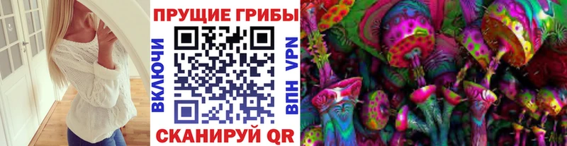 Галлюциногенные грибы Cubensis Купить закладки Большой Камень